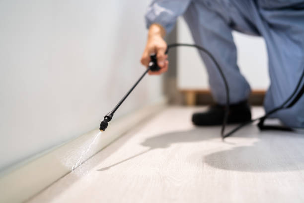 Professional exterminator conducting IPM assessment in Darien